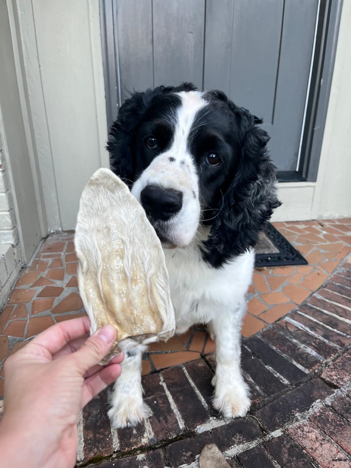 Dehydrated Goat Ears