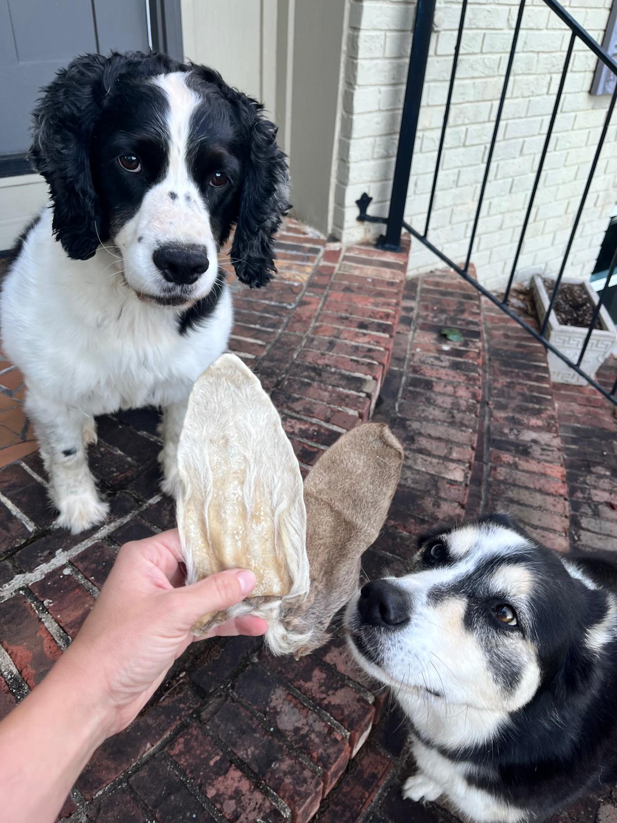 Dehydrated Goat Ears