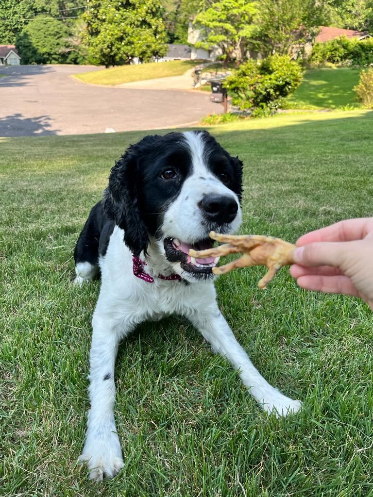 Dehydrated Chicken Feet