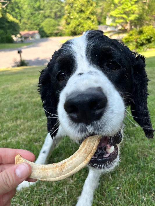 Pup Trail Mix