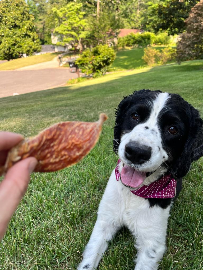 Dehydrated Chicken Jerky