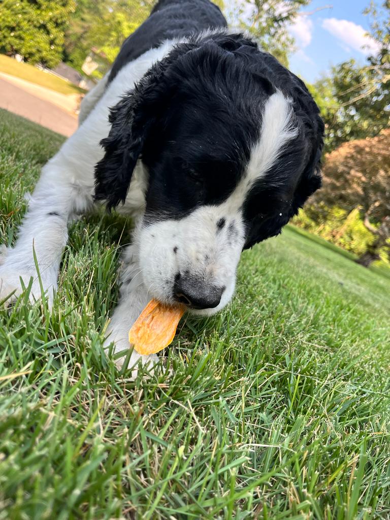 Dehydrated Sweet Potato