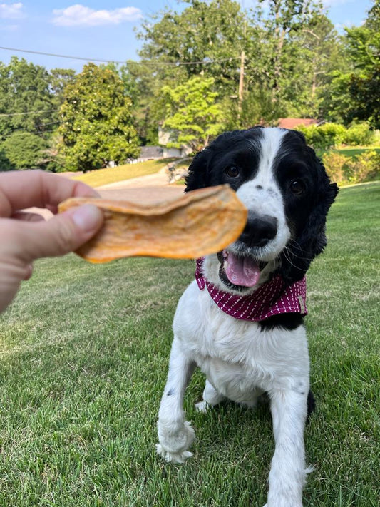 Dehydrated Sweet Potato