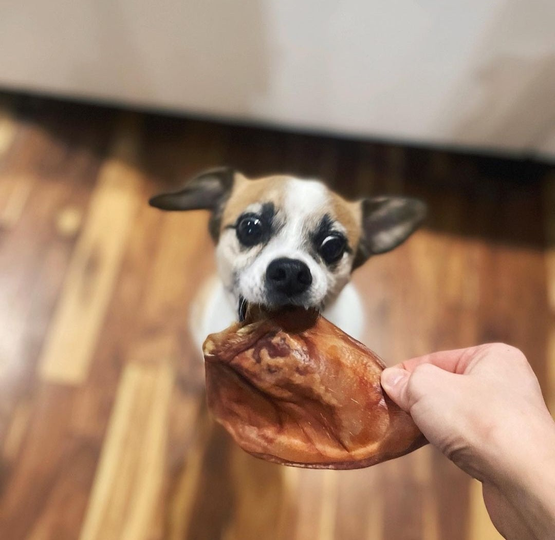 Dehydrated Pork Ears