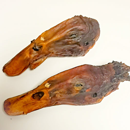 Dehydrated Duck Heads